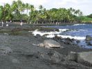 Punalu'u Black Sand Beach